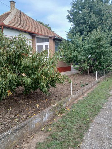 Eladó családi ház, Nagyhegyesen 47.9 M Ft, 2 szobás