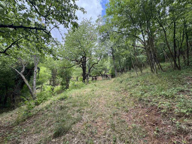 Eladó telek, Cserszegtomajon 36.9 M Ft / költözzbe.hu