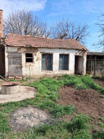 Eladó családi ház, Szabadszentkirályon 15.5 M Ft, 3 szobás