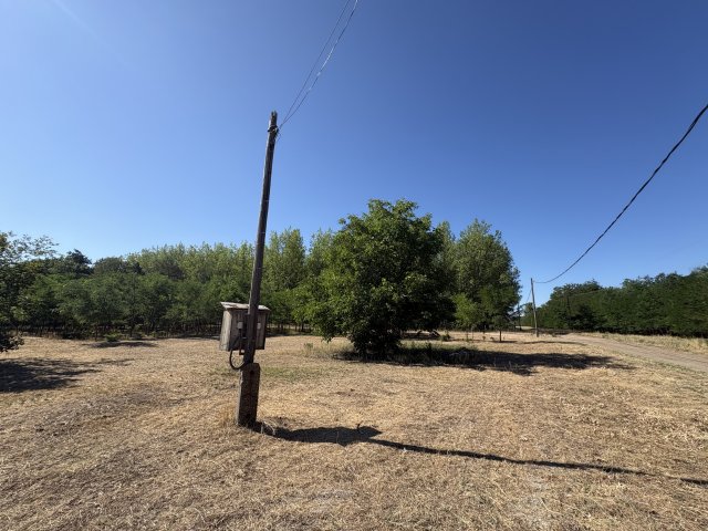 Eladó telek, Csemőn 7.99 M Ft / költözzbe.hu