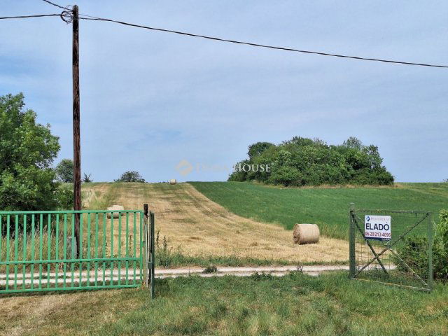 Eladó családi ház, Alcsútdobozon 13.8 M Ft, 1 szobás