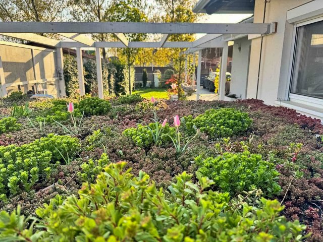 Eladó ikerház, Délegyházán 89.9 M Ft, 3 szobás