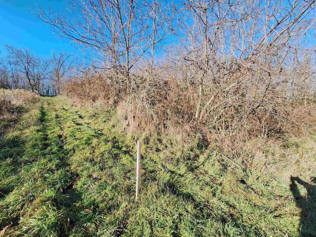 Eladó mezogazdasagi ingatlan, Igalon 1.59 M Ft