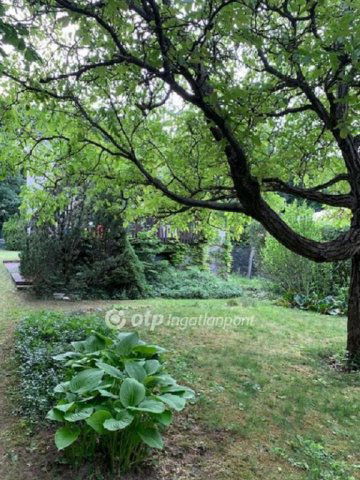 Eladó nyaraló, Solymáron 69.9 M Ft, 1+1 szobás