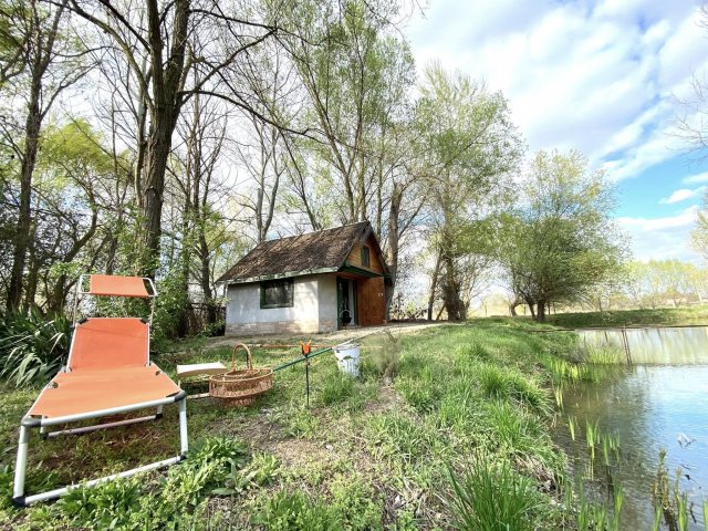 Eladó mezogazdasagi ingatlan, Bordányon 16.7 M Ft