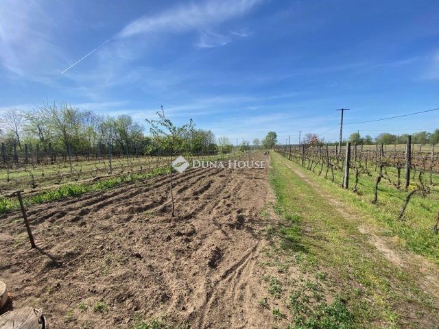 Eladó nyaraló, Kókán 7.5 M Ft, 1 szobás / költözzbe.hu