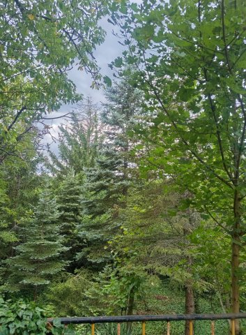 Eladó mezogazdasagi ingatlan, Miskolcon 4 M Ft