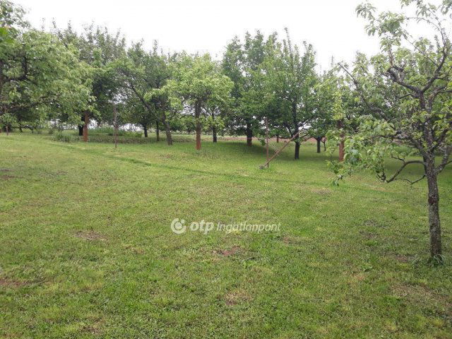 Eladó családi ház, Pogányon 95 M Ft, 5 szobás