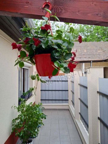 Eladó téglalakás, Vácon, Köztársaság úton 49.9 M Ft