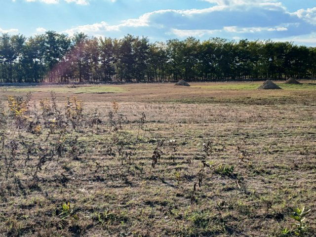 Eladó telek, Dabason 99 M Ft / költözzbe.hu