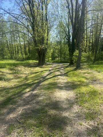 Eladó családi ház, Bárdudvarnokon 82.5 M Ft, 2 szobás