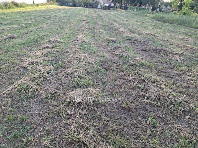 Eladó mezogazdasagi ingatlan, Hajdúszoboszlón 9.8 M Ft