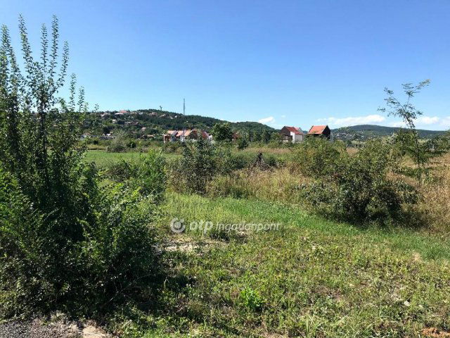 Eladó telek, Velencén 31 M Ft / költözzbe.hu