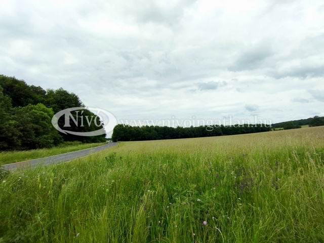 Eladó mezogazdasagi ingatlan, Hárskúton 30 M Ft