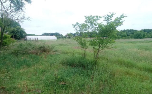 Eladó telek, Dabason 57 M Ft / költözzbe.hu