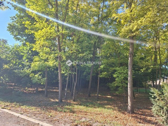 Eladó családi ház, Bácsborsódon 39.9 M Ft, 5 szobás