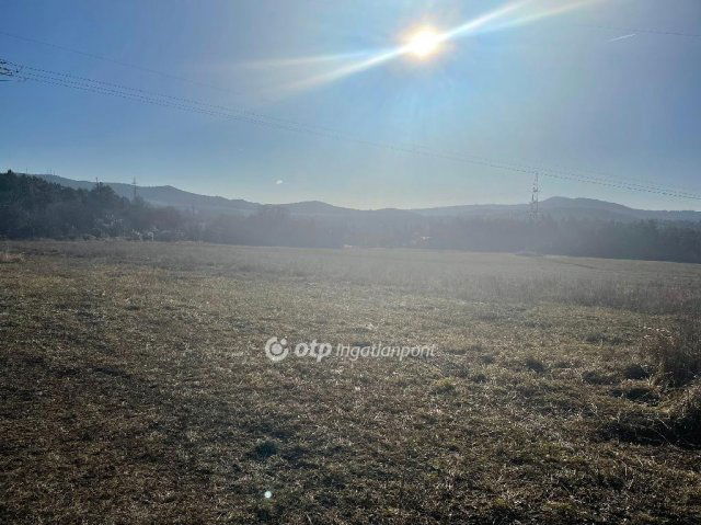 Eladó telek, Solymáron 160 M Ft / költözzbe.hu