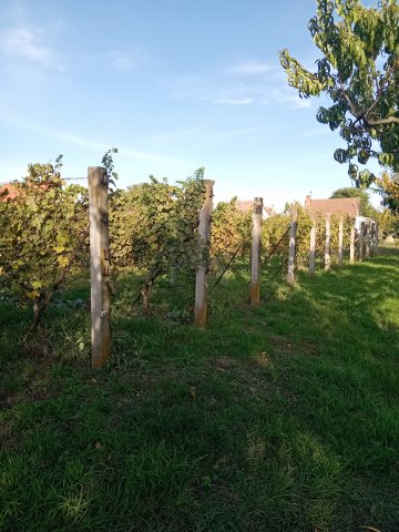 Eladó nyaraló, Szigetváron 5.7 M Ft / költözzbe.hu
