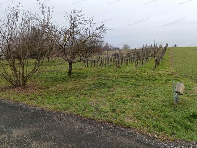 Eladó telek, Buzsákon 7.99 M Ft / költözzbe.hu