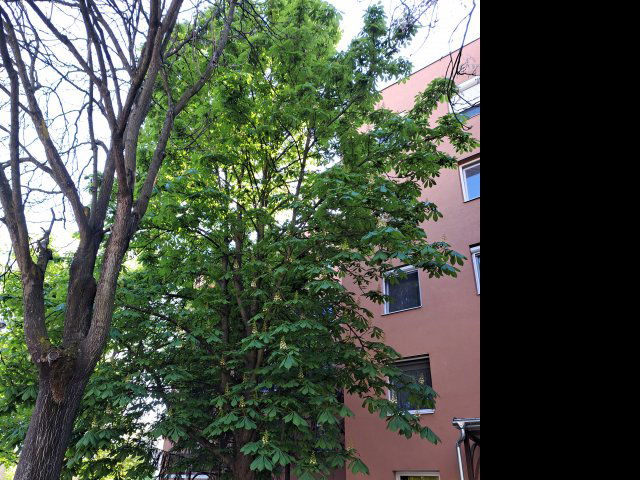 Eladó panellakás, Gyulán 26.8 M Ft, 2 szobás