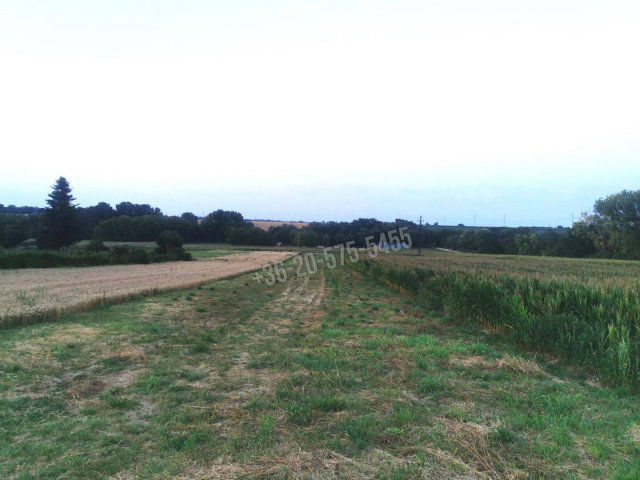 Eladó telek, Zamárdiban 65.8 M Ft / költözzbe.hu