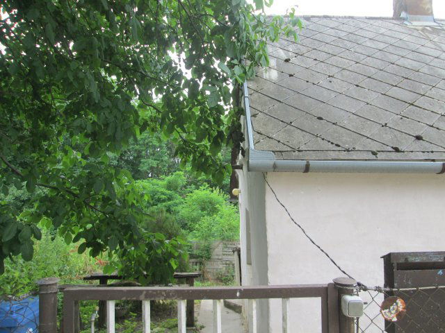 Eladó családi ház, Birjánon 10 M Ft, 2 szobás