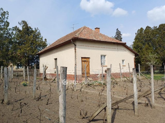 Eladó családi ház, Csanyteleken 17.9 M Ft, 3 szobás