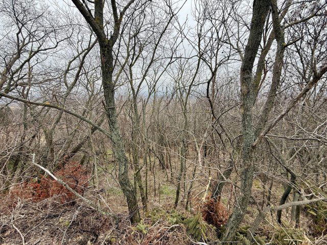 Eladó telek, Csókakőn 6.9 M Ft / költözzbe.hu