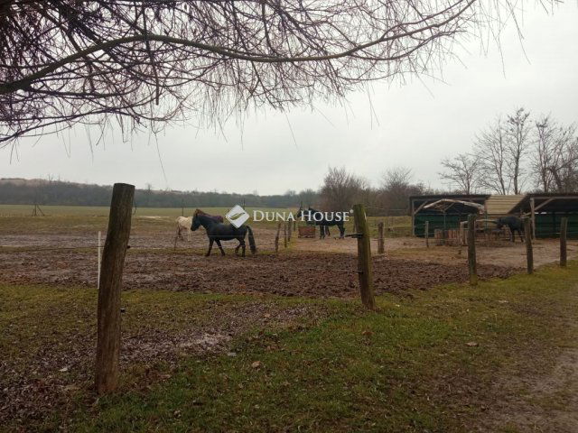 Eladó mezogazdasagi ingatlan, Biatorbágyon, Nagy utcában 249 M Ft