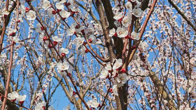 Eladó családi ház, Biatorbágyon 80 M Ft, 1 szobás