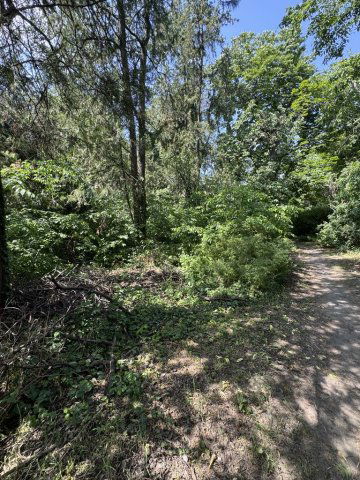 Eladó telek, Dunakeszin 74.9 M Ft / költözzbe.hu