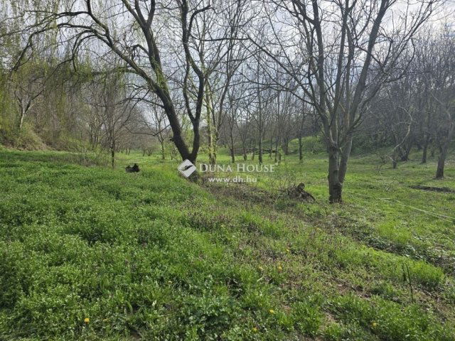 Eladó mezogazdasagi ingatlan, Hosszúhetényen 95 M Ft, 3 szobás