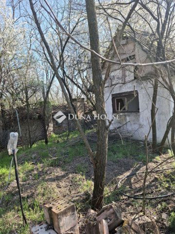 Eladó mezogazdasagi ingatlan, Szegeden 78 M Ft