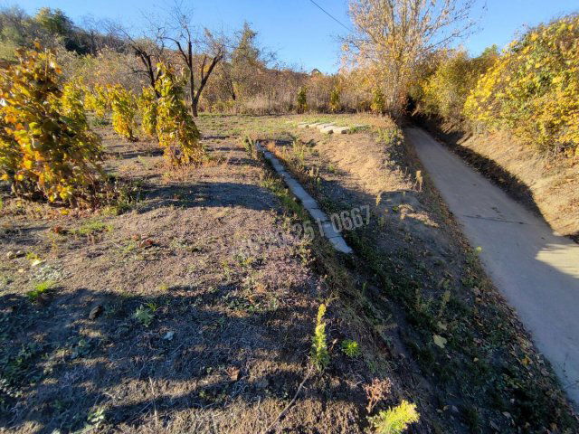 Eladó telek, Mohácson 1.2 M Ft / költözzbe.hu