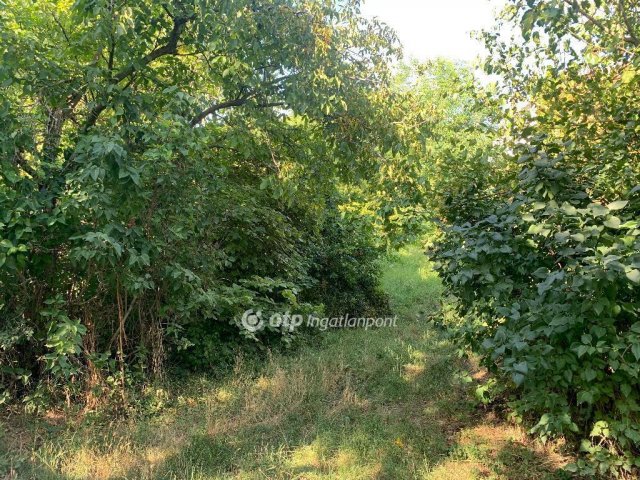 Eladó telek, Gyúrón 10 M Ft / költözzbe.hu