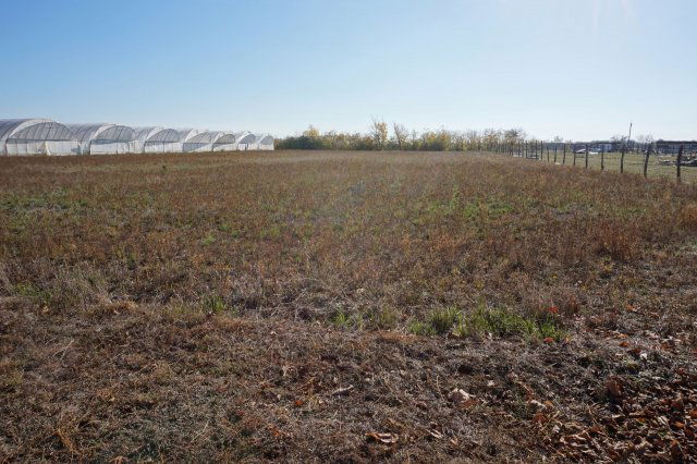 Eladó telek, Tiszaszigeten 93 M Ft / költözzbe.hu