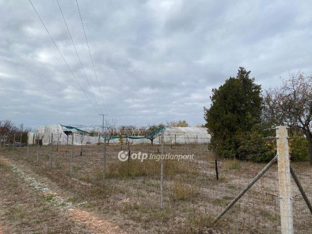 Eladó telek, Szentesen 14.9 M Ft / költözzbe.hu