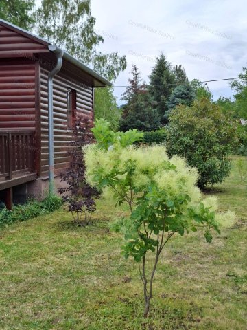 Eladó nyaraló, Szolnokon 29.5 M Ft, 1 szobás