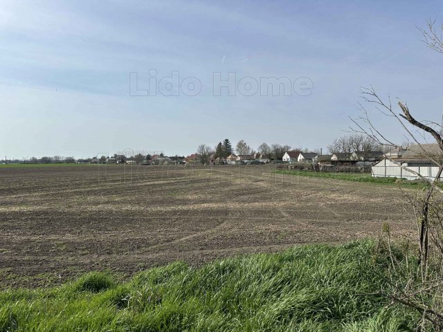 Eladó telek, Lepsényben 17 M Ft / költözzbe.hu