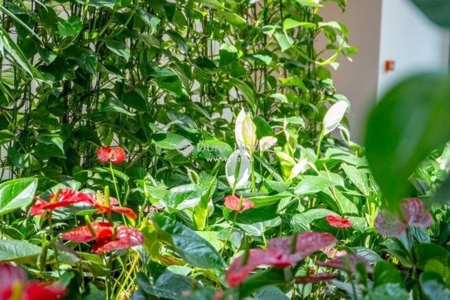 Eladó téglalakás, Budapesten, XI. kerületben 229 M Ft, 4 szobás