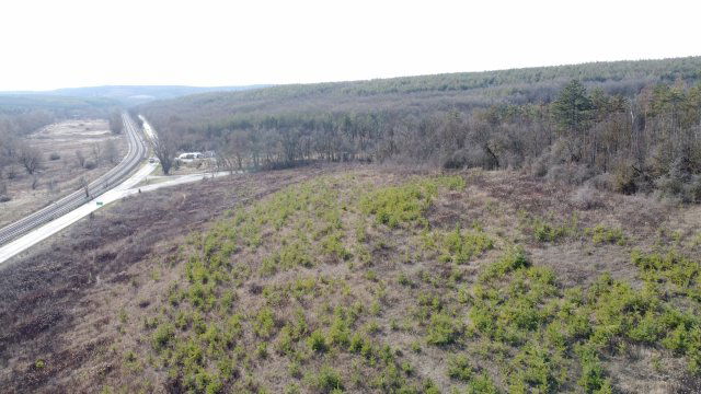 Eladó mezogazdasagi ingatlan, Isaszegen 9.22 M Ft