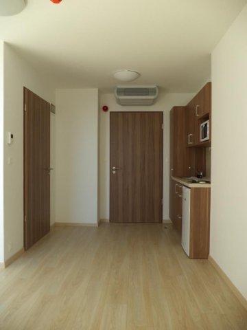 Kiadó téglalakás, albérlet, Pécsett, Király utcában, 1 szobás