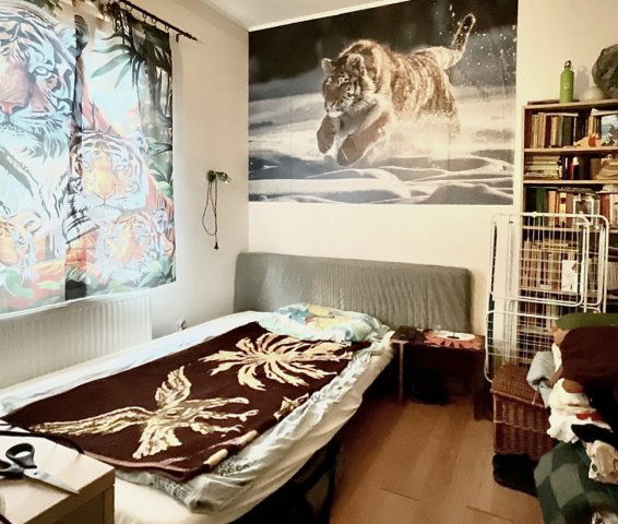 Eladó családi ház, Pomázon 37 M Ft, 2 szobás