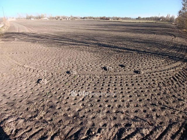 Eladó telek, Balástyán 12 M Ft / költözzbe.hu