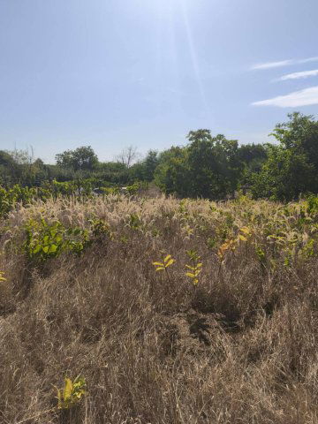 Eladó mezogazdasagi ingatlan, Monoron 7 M Ft / költözzbe.hu