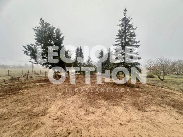 Eladó telek, Cegléden 5.9 M Ft / költözzbe.hu