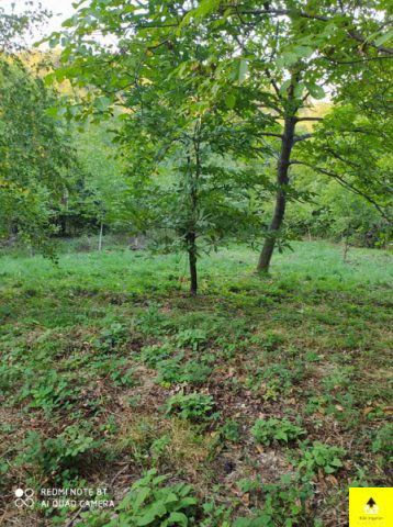 Eladó telek, Kőszegen 4.5 M Ft / költözzbe.hu
