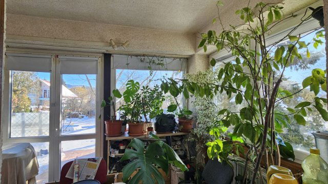 Eladó ikerház, Budapesten, II. kerületben 260 M Ft, 4+2 szobás