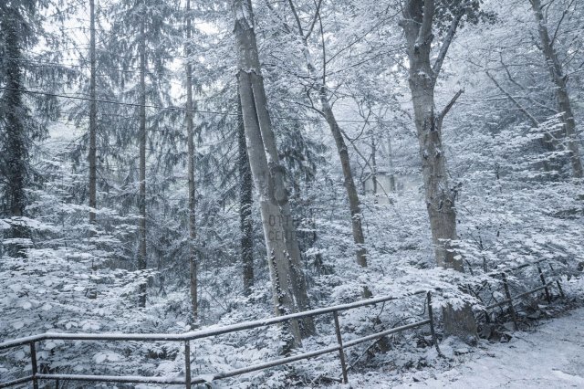 Eladó telek, Budapesten, XII. kerületben 680 M Ft