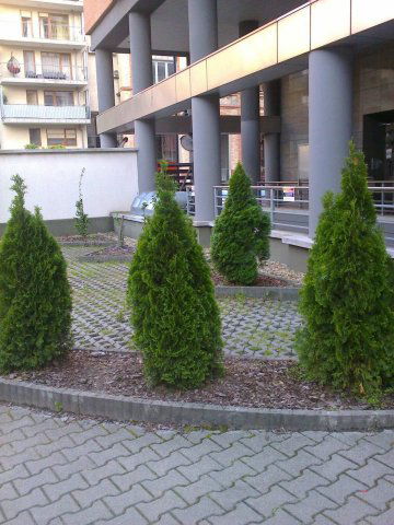 Kiadó téglalakás, albérlet, Budapesten, III. kerületben